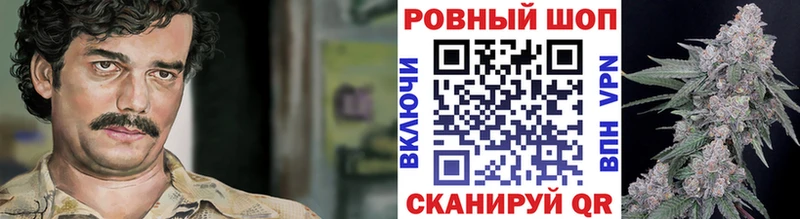 A PVP Мончегорск
