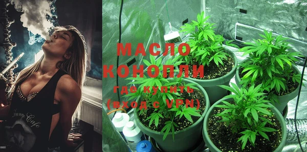 прущие грибы Бородино