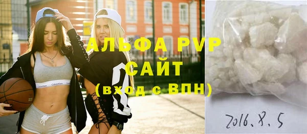 прущие грибы Бородино