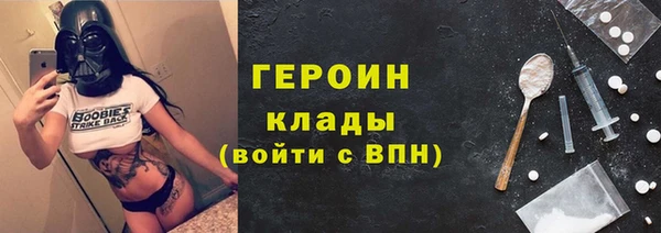 прущие грибы Бородино