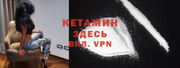 прущие грибы Бородино