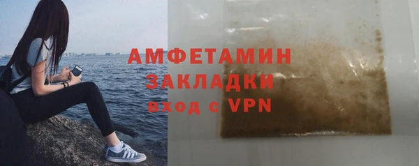 прущие грибы Бородино
