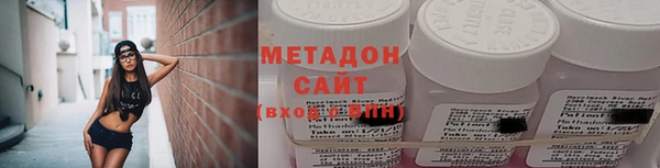 прущие грибы Бородино