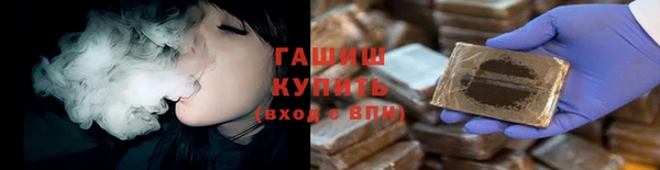 прущие грибы Бородино
