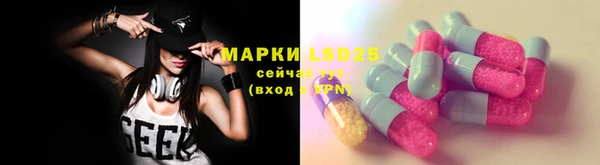 прущие грибы Бородино