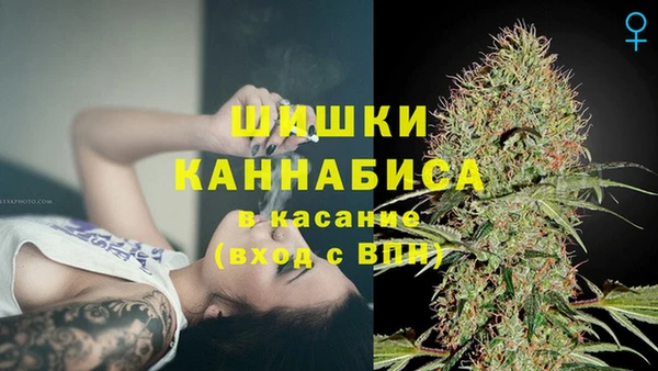 прущие грибы Бородино