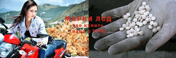 прущие грибы Бородино