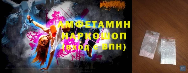 прущие грибы Бородино