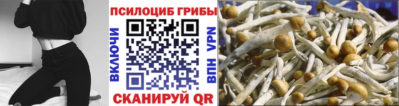 Галлюциногенные грибы ЛСД Мончегорск